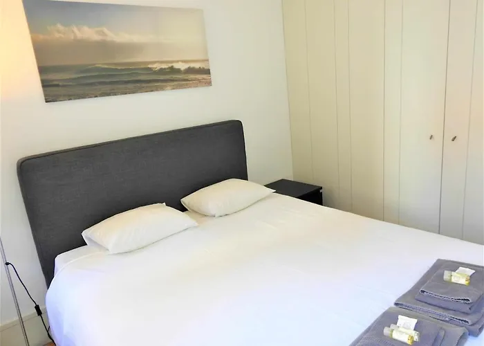 Oporto Delight 3 Luxury Apartment In Historic Center Max 4P