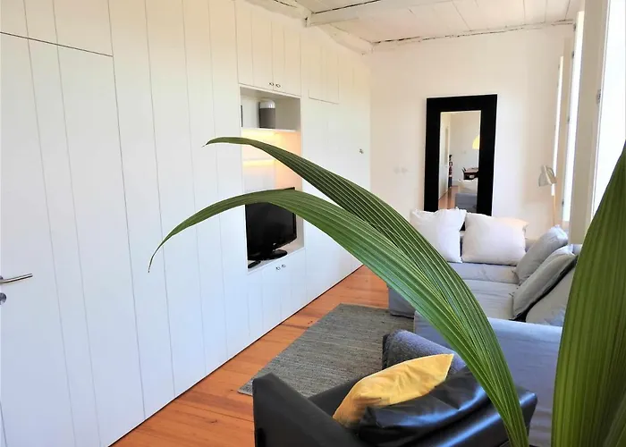 Oporto Delight 3 Luxury Apartment In Historic Center Max 4P