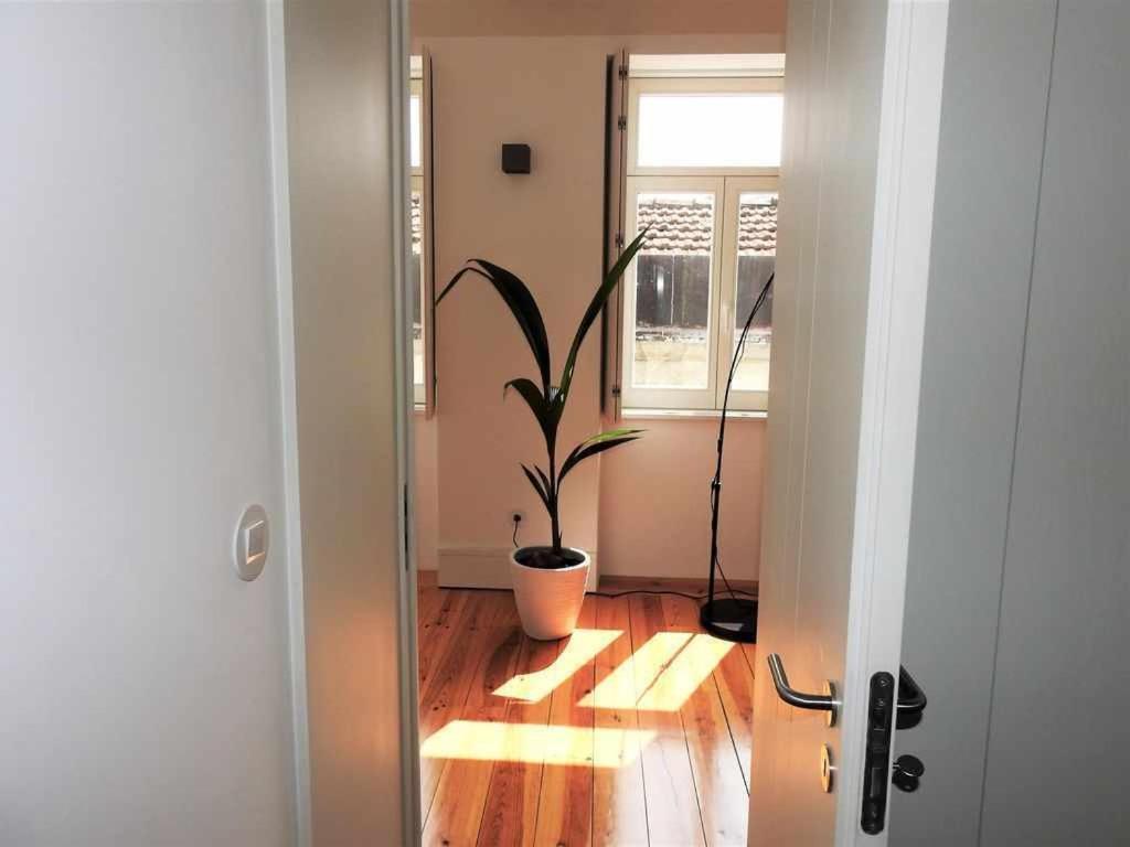 Delight 3 Luxury In Historic Center Max 4p Apartment